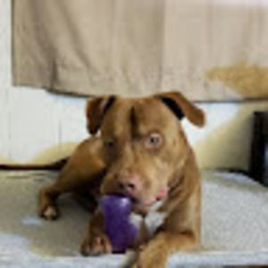 Meet your Posher, Ariane